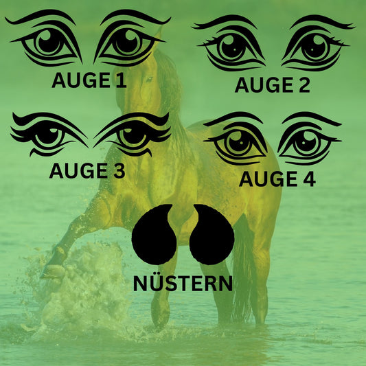 Vinyl Aufkleber Holzpferd – Augen & Nüstern SET (Augen frei wählbar)